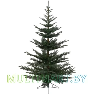 Ель Everlands Нобилис 3 м